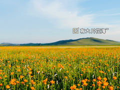 -坝上草原大汗行宫旅游景区