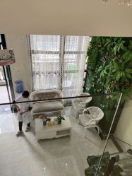 -苗医生草本科技祛痘