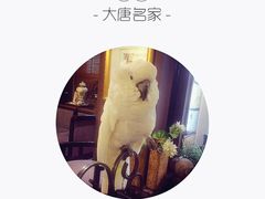 -大唐名家·息壤店