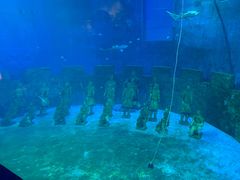 -太奥幻太奇海洋馆