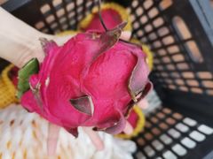 -东方鼎信农副产品交易中心