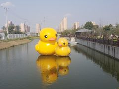-菊园百果园