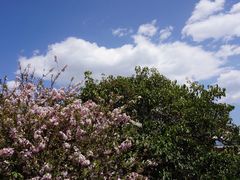 -南诏风情岛