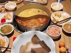 -青瓷火锅料理(西单大悦城店)