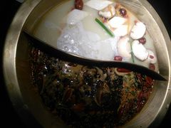 鸳鸯锅-九鼎轩火锅大排挡