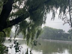 -北陵公园