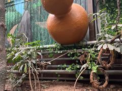 -呀路古热带植物园