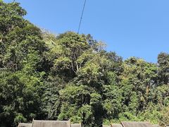 -野象谷景区