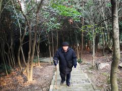 -香雪海