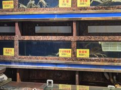 -金米箩大酒店(五角场店)