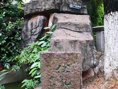 -碧江金楼