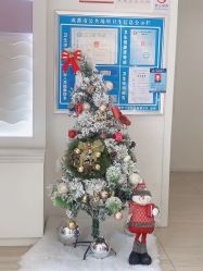 -SILKTONE诗丽堂美容