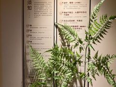 -沐善人家中医·推拿·理疗·三伏灸(新洲店)