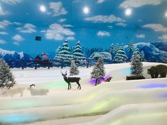 -世界之窗阿尔卑斯冰雪世界