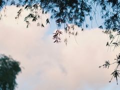 -荔香公园