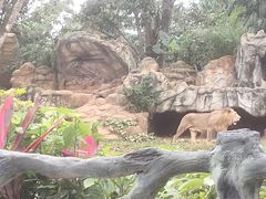 -海南热带野生动植物园