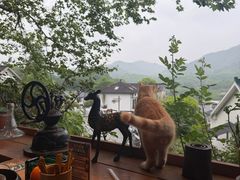 -马灯部落·西湖边的创意山景餐厅(虎跑动物园店)