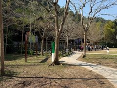 -野象谷景区