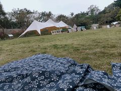 -南宁良凤江国家森林公园