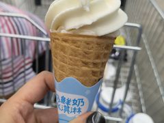 -盒马X会员店(王府井奥莱UP TOWN店)