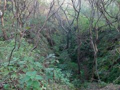 -华雅花园大酒店