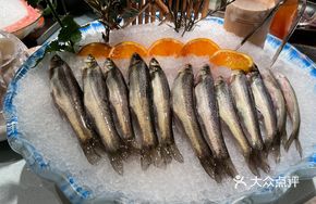Willow Silver Fish