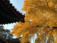 -承恩寺