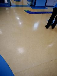 -首都医科大学附属北京儿童医院