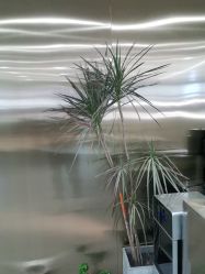 -DX HAIR SALON·发现未知美发沙龙