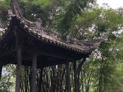 -凤栖山