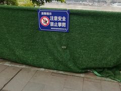 -张鸭子大酒楼(南滨路店)