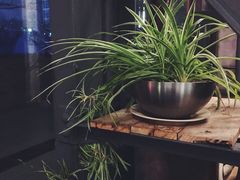-Maan coffee漫咖啡(1905店)