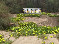 -大京沙滩