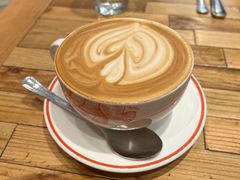 -Elephant Grounds(STARSTREET)