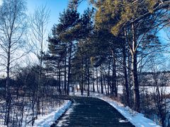 -北极村旅游风景区