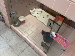 -FAELING PETS美天灵宠物(富力广场店)