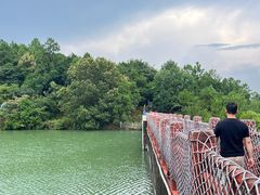 -广州白江湖森林公园