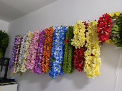 -呼拉汇舞蹈生活馆 Hawaii Hula&Tahiti Dance Studio