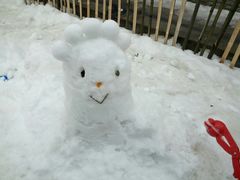 -广元曾家山国际滑雪场