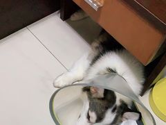 -立德动物医院·24小时中心(番禺区院区)