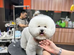 -宠宠熊宠物美容(星湖街店)