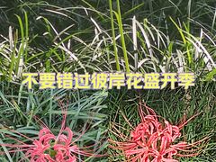 -西安大兴善寺