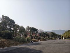 -习家池