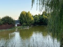-静之湖度假区