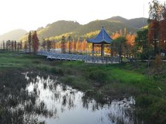 -广州市石门国家森林公园