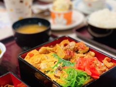 -dodonpa.墩墩伐 便当食堂(博华广场店)