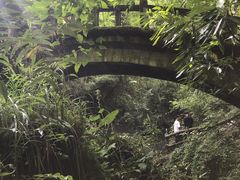 -神农架香溪源景区