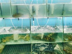水产区-刘记糟粕醋海鲜烧烤