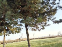 -汉长安城未央宫国家考古遗址公园