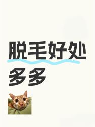 -薇兰专业脱毛连锁机构